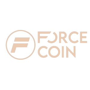 Logo fnt force